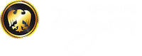 Logo bourgouin